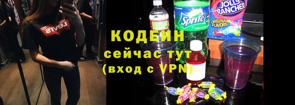 дживик Богородск
