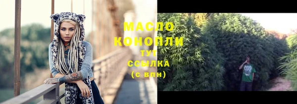 прущие грибы Богданович