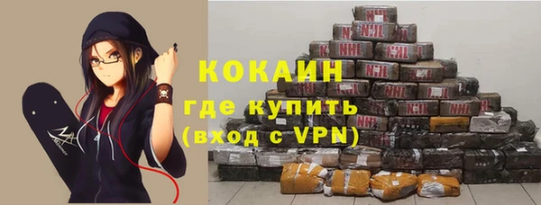 прущие грибы Богданович