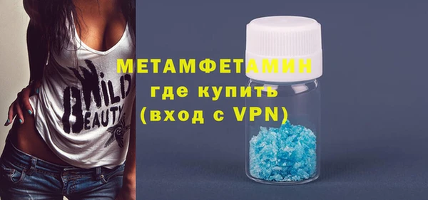 прущие грибы Богданович