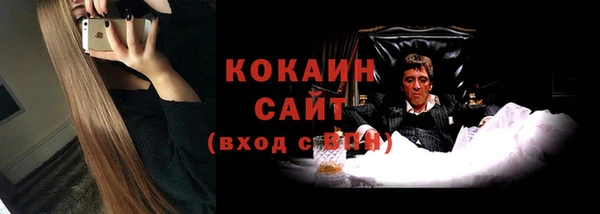 дживик Богородск