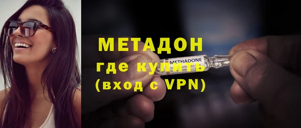 прущие грибы Богданович