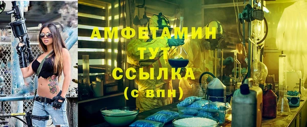 дживик Богородск