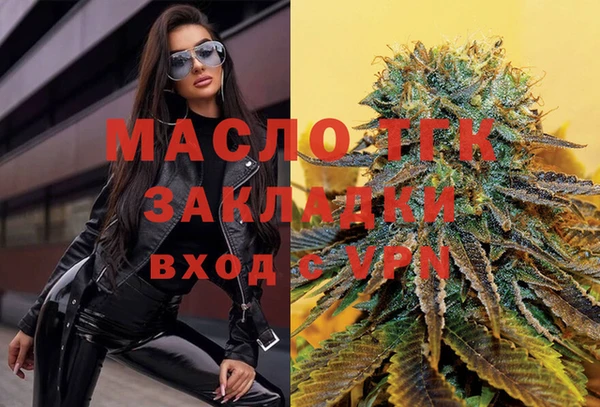 прущие грибы Богданович