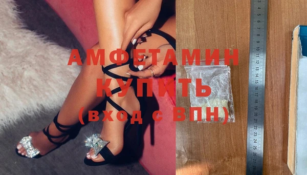 прущие грибы Богданович