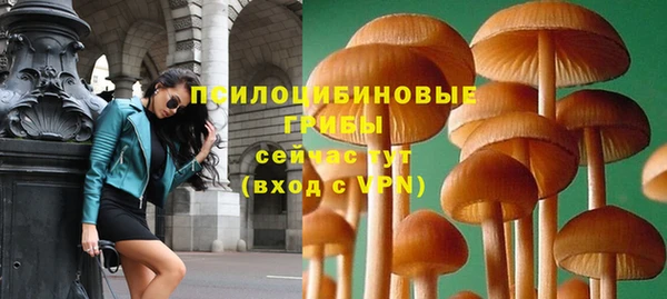 прущие грибы Богданович