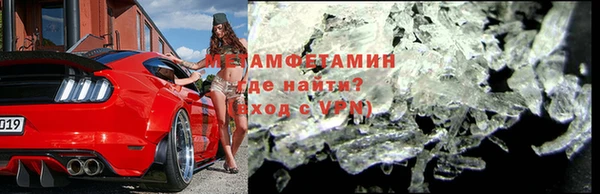 прущие грибы Богданович