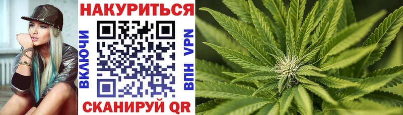 Каннабис ГИДРОПОН  купить закладку  Мураши 